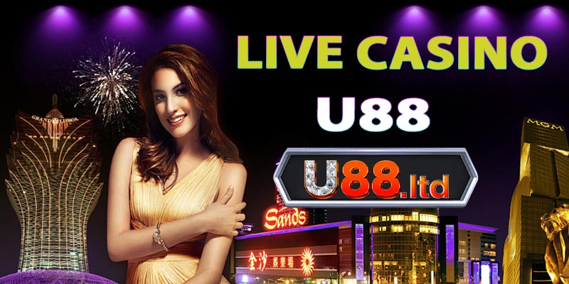 Live casino trực tuyến chân thực